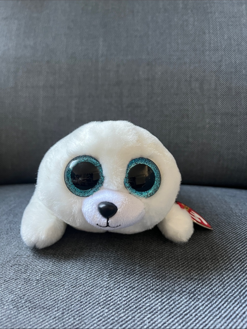 Ty Icy Baby Beanie Babies Boos White Seal Plush with Sparkling Blue Eyes 6”